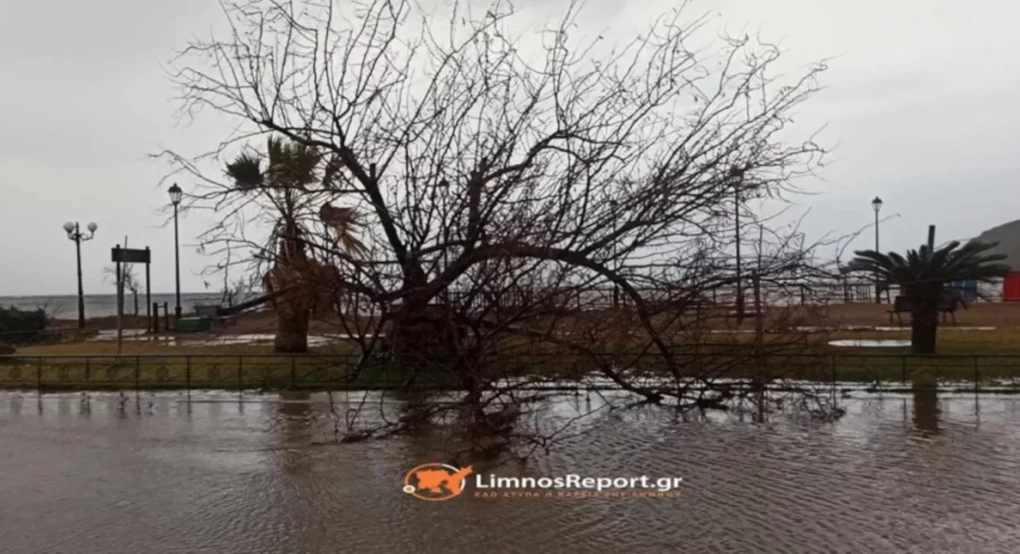Λήμνος: Διακοπή ρεύματος λόγω της κακοκαιρίας, ξεριζώθηκαν δένδρα -Επί ποδός οι αρχές