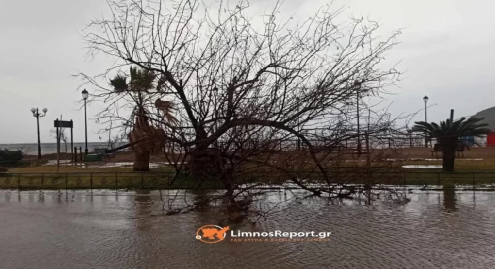Λήμνος: Διακοπή ρεύματος λόγω της κακοκαιρίας, ξεριζώθηκαν δένδρα -Επί ποδός οι αρχές Λήμνος: Διακοπή ρεύματος λόγω της κακοκαιρίας, ξεριζώθηκαν δένδρα -Επί ποδός οι αρχές