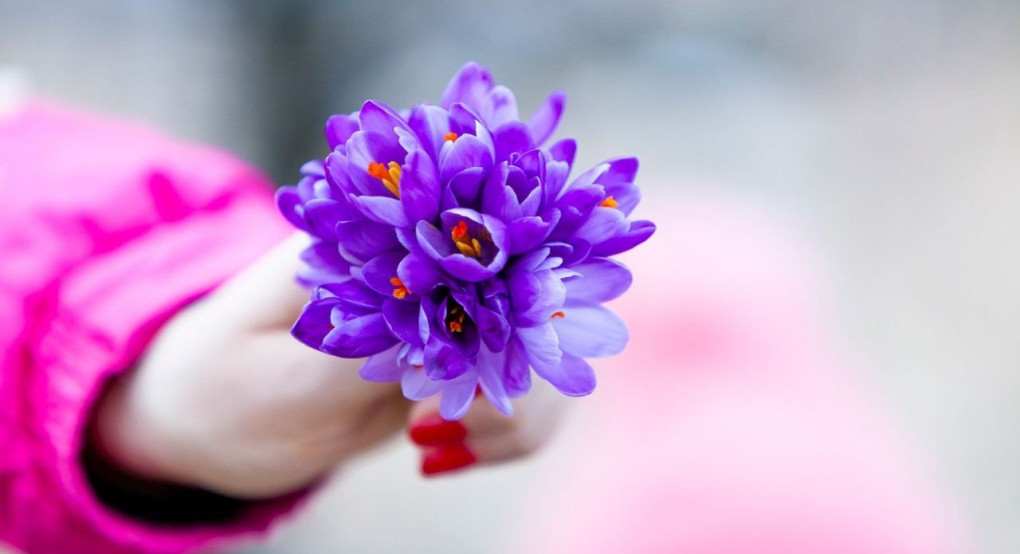 Το αντικαρκινικό αφροδισιακό που τονώνει τον οργανισμό και αδυνατίζει