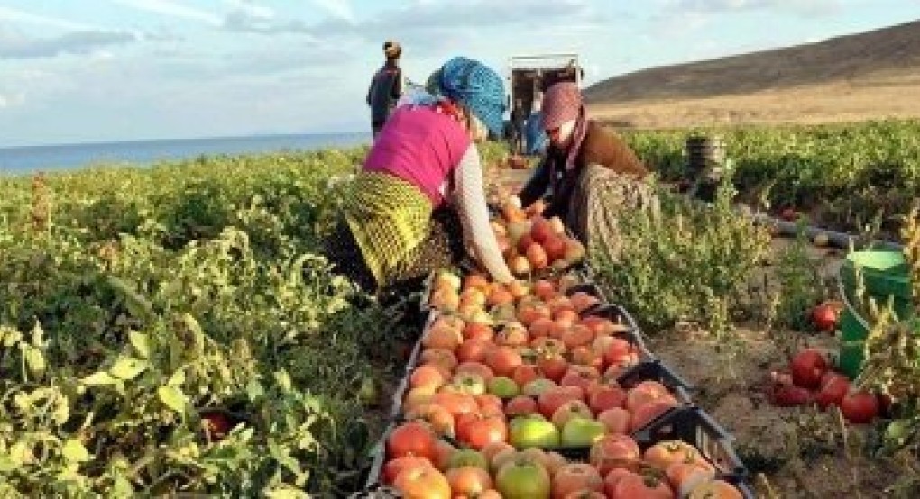 Εντός του Μαρτίου νομοσχέδιο για νόμιμη μετανάστευση και μετακλητούς εργάτες γης