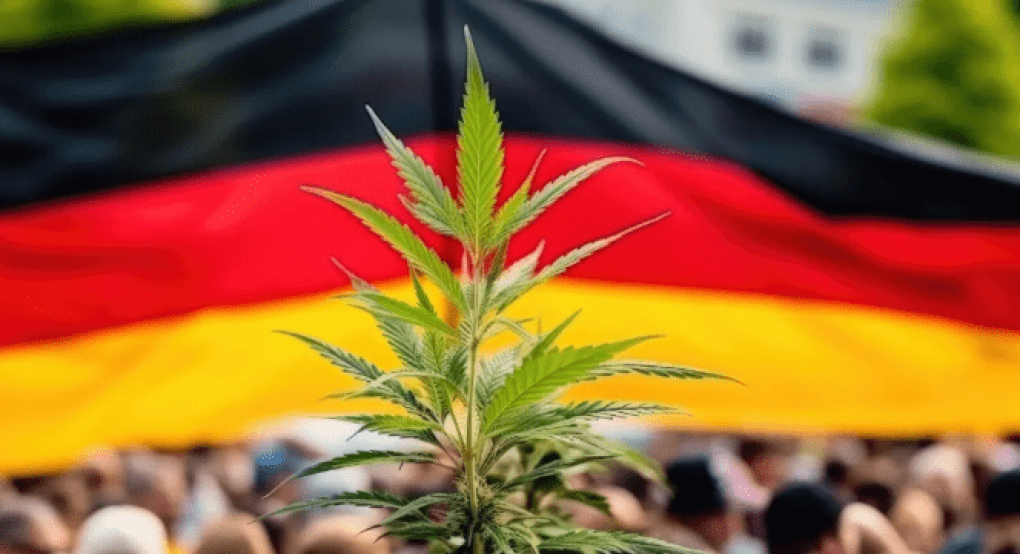 Εγκρίθηκε από τη γερμανική Βουλή η μερική νομιμοποίηση της κάνναβης