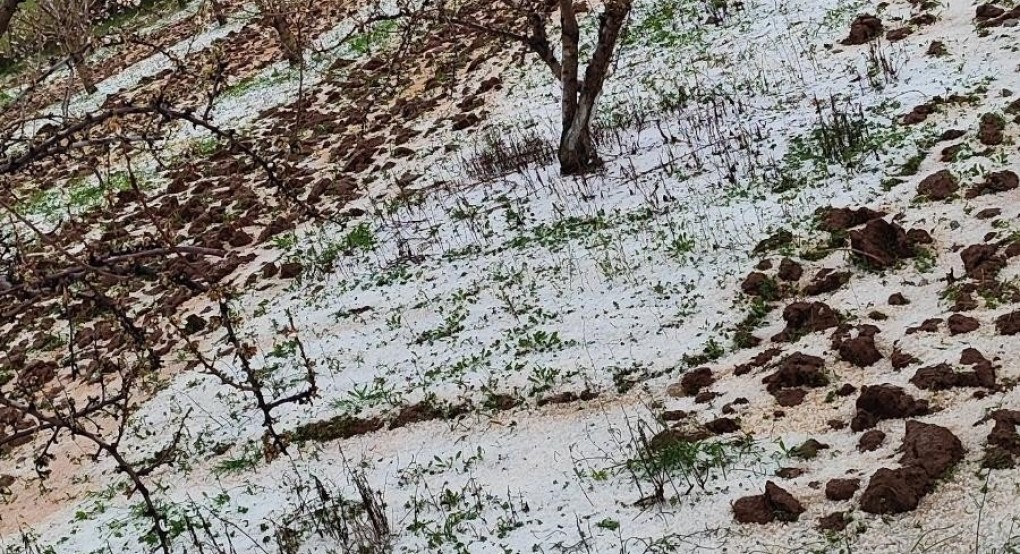 Τεράστιες ζημιές από το χαλάζι