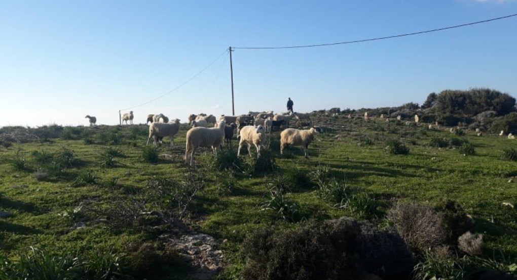 Μετά από πολλά χρόνια... επιτέλους επανακτάται η αίσθηση ασφάλειας!