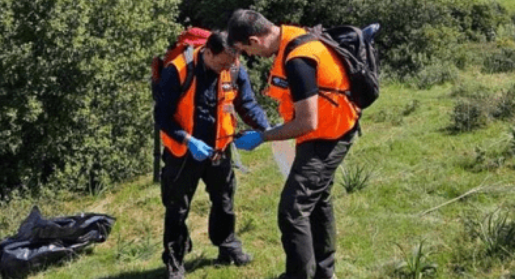 Θεσσαλία: Βασανιστικός θάνατος για 12 σκύλους και 3 πτηνά από δηλητηριασμένα δολώματα