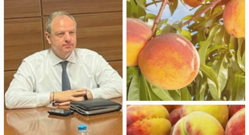 Ψηλά το ροδάκινο στην ατζέντα του ΥφΑΑΤ