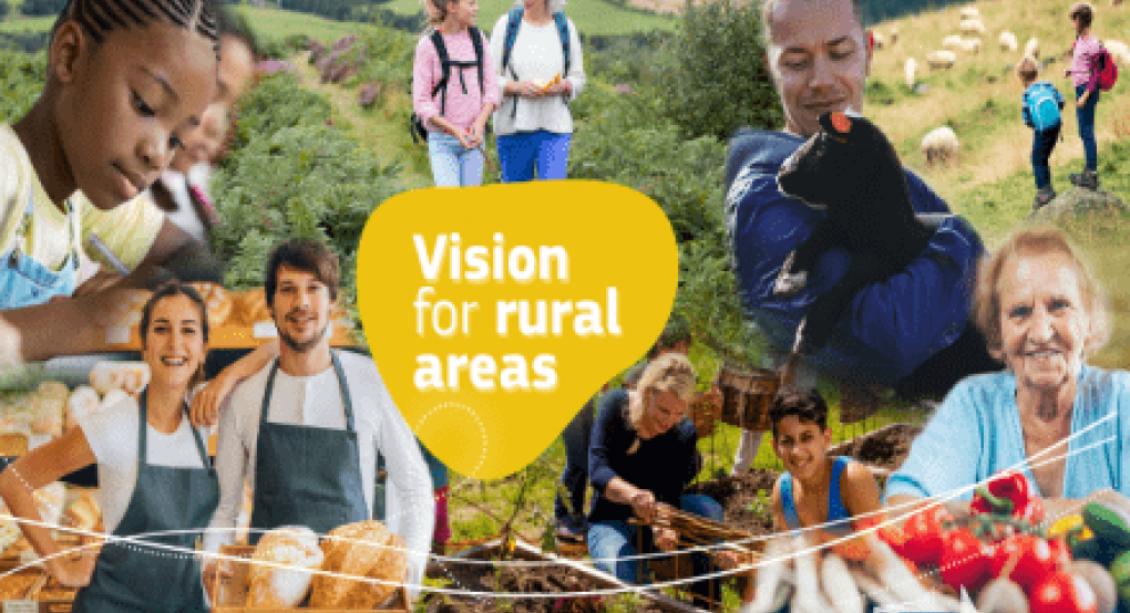 Ικανοποιητική πρόοδος στο μακρόπνοο όραμα για τις αγροτικές περιοχές της Ε.Ε.
