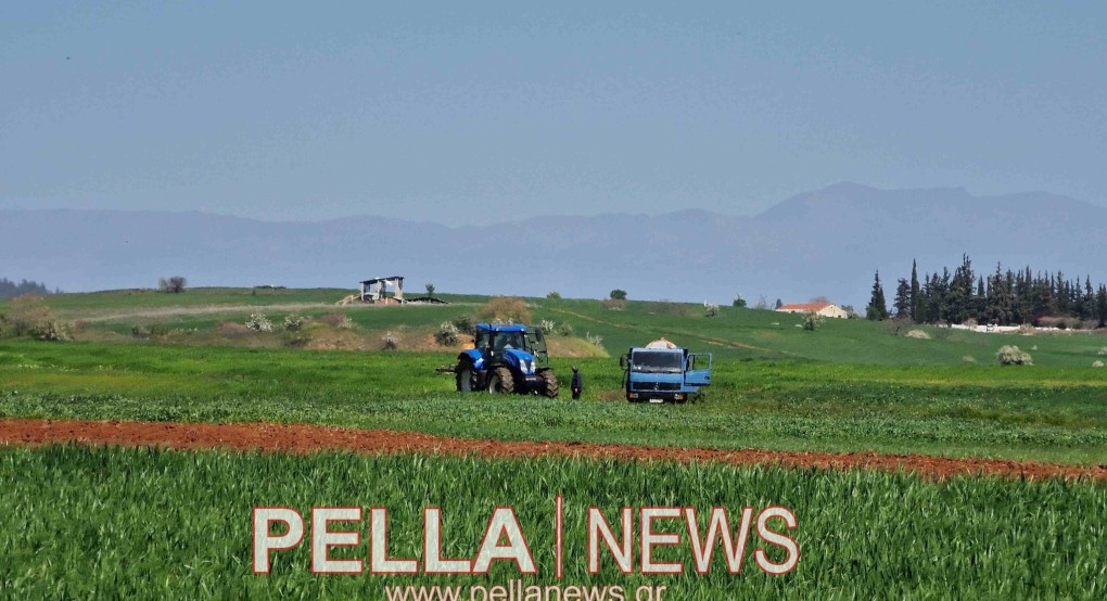 ΕΛΓΑ: Νέες πληρωμές 24 εκ. ευρώ σε δικαιούχους παραγωγούς για ζημίες του έτους 2025