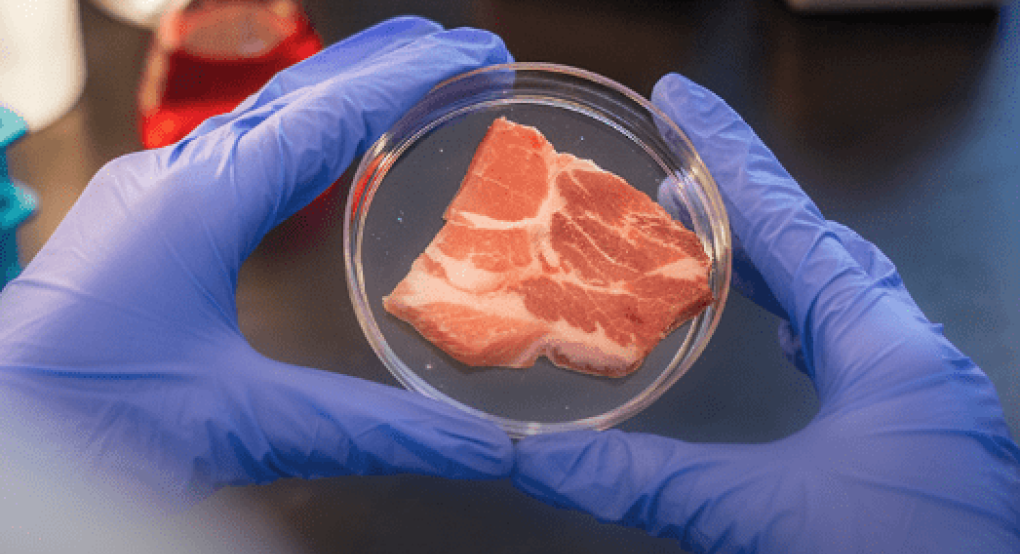 Είναι το τεχνητό κρέας η λύση του πλανήτη;