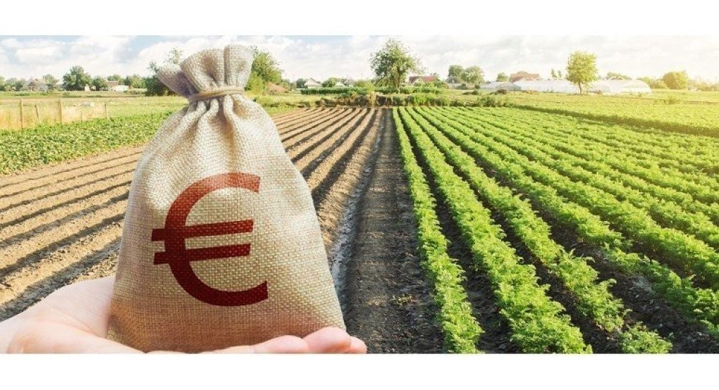 Πανελλήνια Ένωση Γεωπόνων Δημοσίων Υπαλλήλων ΠΕΓΔΥ-«Ενημέρωση των Γεωτεχνικών Δ.Υ. – Προκήρυξη Πανελλαδικής Πανγεωτεχνικής Στάσης Εργασίας, την Τετάρτη 17 Απριλίου Πανελλήνια Ένωση Γεωπόνων Δημοσίων Υπαλλήλων ΠΕΓΔΥ-«Ενημέρωση των Γεωτεχνικών Δ.Υ. – Προκήρυξη Πανελλαδικής Πανγεωτεχνικής Στάσης Εργασίας, την Τετάρτη 17 Απριλίου