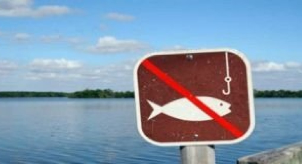 Απαγόρευση αλιείας στη λίμνη Βεγορίτιδα εντός των ορίων της Π.Ε. Πέλλας, στο πλαίσιο αναπαραγωγής ιχθύων για το 2024