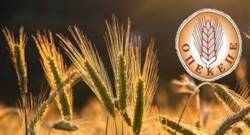Οδηγίες για κληρονόμους δικαιούχων κρατικών ενισχύσεων de minimis λόγω Ουκρανίας Οδηγίες για κληρονόμους δικαιούχων κρατικών ενισχύσεων de minimis λόγω Ουκρανίας