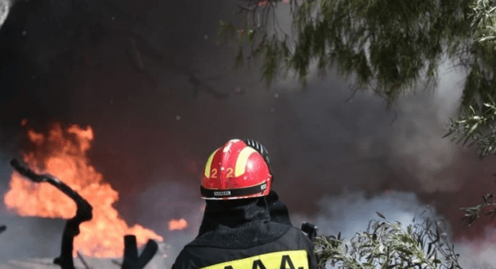 Καίγονται δάσος και καλλιέργειες στη Δαύλεια