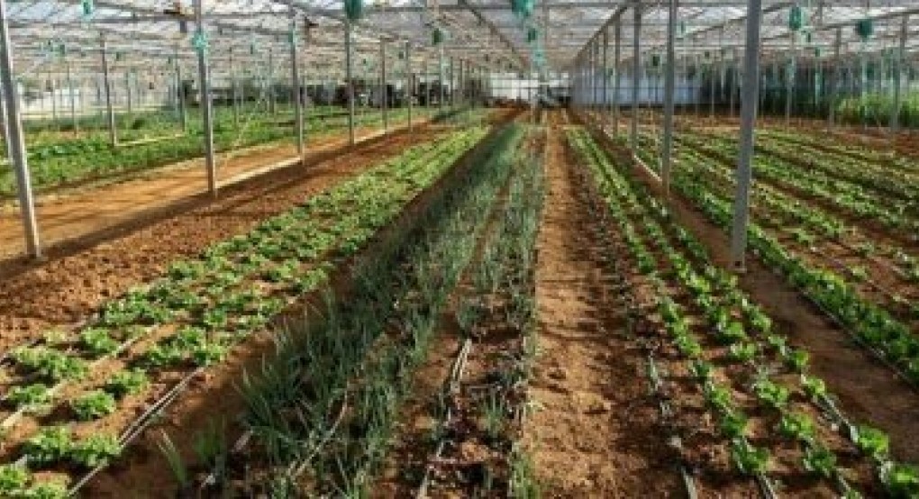 Συνεταιριστική παρέμβαση προς τους ευρωβουλευτές για αλλαγές στην νέα ΚΑΠ Συνεταιριστική παρέμβαση προς τους ευρωβουλευτές για αλλαγές στην νέα ΚΑΠ