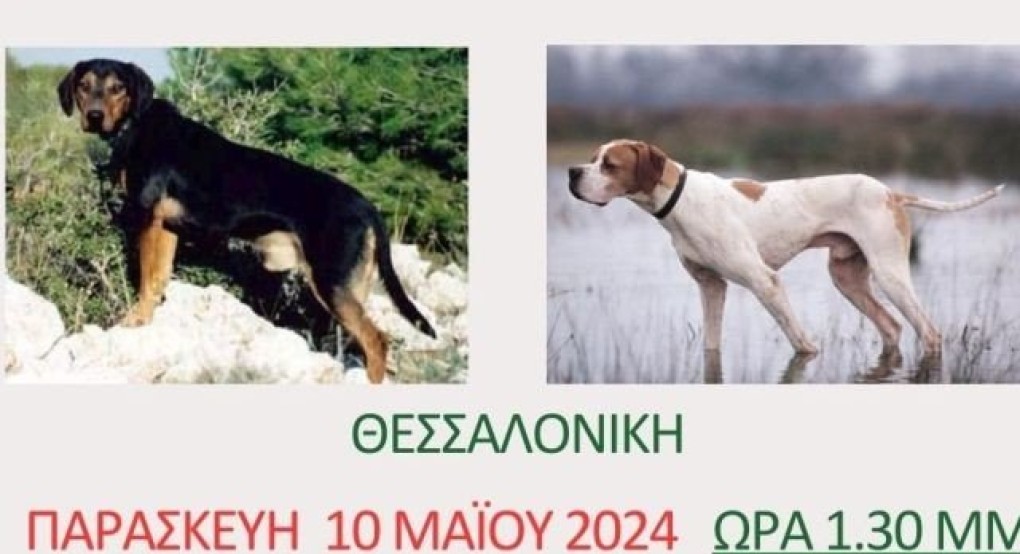 Συγκέντρωση Διαμαρτυρίας της ΚΟΜΑΘ και των Κυνηγετικών Συλλόγων Μακεδονίας – Θράκης Συγκέντρωση Διαμαρτυρίας της ΚΟΜΑΘ και των Κυνηγετικών Συλλόγων Μακεδονίας – Θράκης