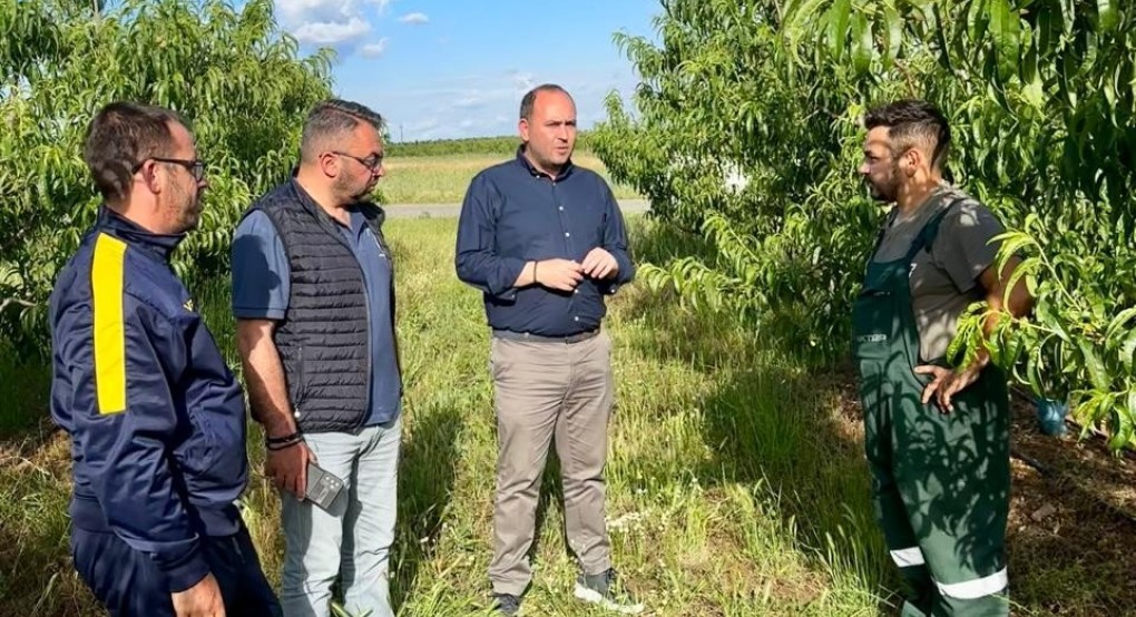 Λάκης Βασιλειάδης: Ανάγκη άμεσης ολιστικής αντιμετώπισης του προβλήματος της ασθένειας σε ροδάκινα κλπ. Λάκης Βασιλειάδης: Ανάγκη άμεσης ολιστικής αντιμετώπισης του προβλήματος της ασθένειας σε ροδάκινα κλπ.