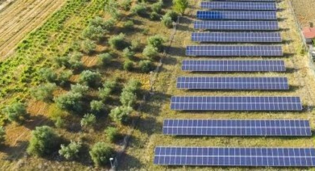 Στην τελική η υπουργική απόφαση για «Απαιτήσεις φύτευσης σε φωτοβολταϊκούς σταθμούς» Στην τελική η υπουργική απόφαση για «Απαιτήσεις φύτευσης σε φωτοβολταϊκούς σταθμούς»