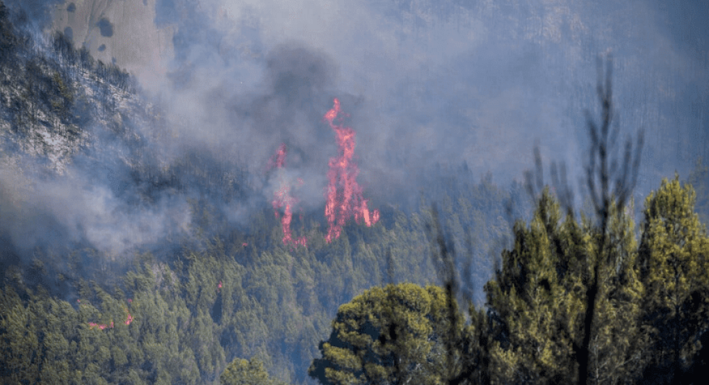 Φωτιά τώρα στην Πέλλα: Επιχειρούν 45 πυροσβέστες και τρία αεροσκάφη