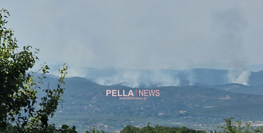 Ευζώνοι: Υπό έλεγχο η φωτιά
