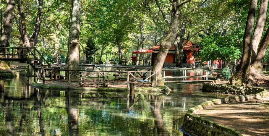Απαγορεύεται η στάθμευση αυτοκινήτων εντός του Άλσους του Αγίου Νικολάου Νάουσας