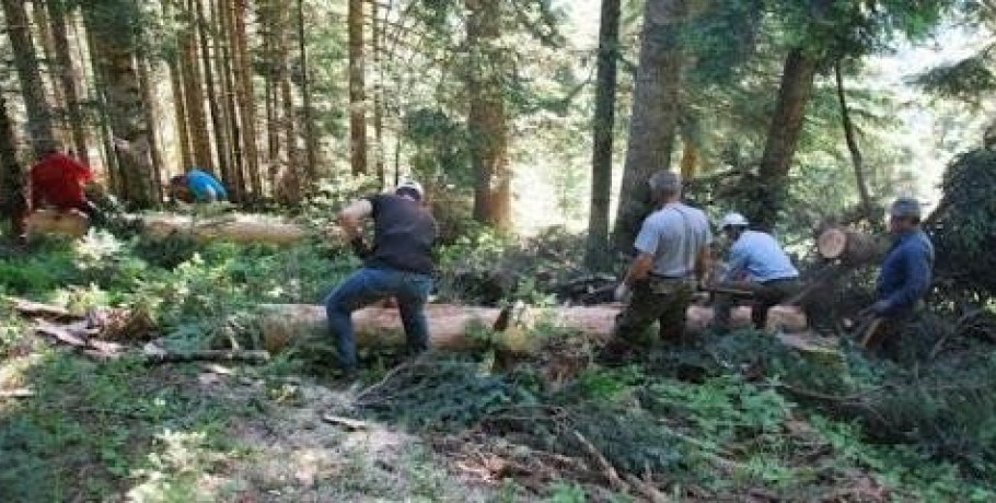 Σωματείο Δασεργατών Εδέσσης και Περιφέρειας προς Υπουργό: Είμαστε απελπισμένοι από την εγκατάλειψη του κλάδου