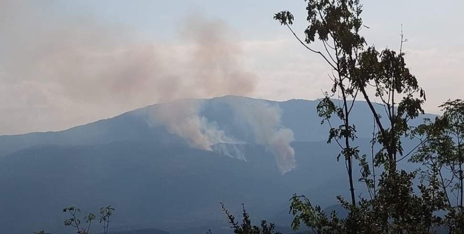 Τζαμτζής για φωτιά στο Πάικο: Δυστυχώς συνεχίζει στο πεδίο βολής