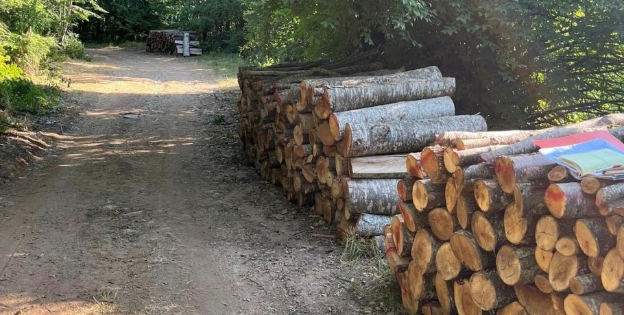 Ξεκίνησε η διάθεση καυσόξυλων για την κάλυψη αναγκών ευπαθών ομάδων
