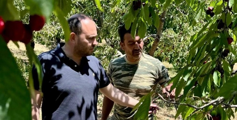 Λάκης Βασιλειάδης: Σε κτήματα στα χωριά Καρυδιά, Κερασιά, Κορυφή
