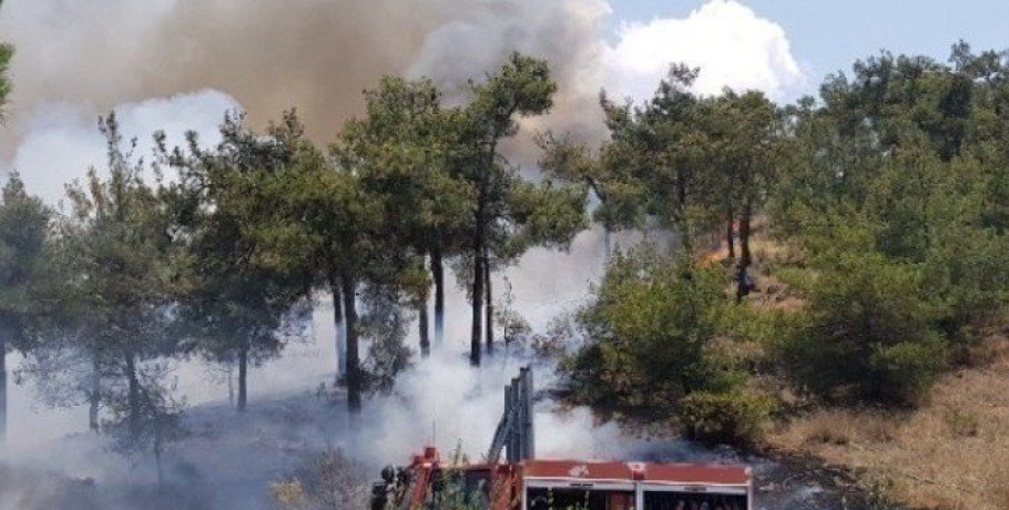 Πυροσβεστική: 46 αγροτοδασικές πυρκαγιές το τελευταίο 24ωρο σε όλη τη χώρα