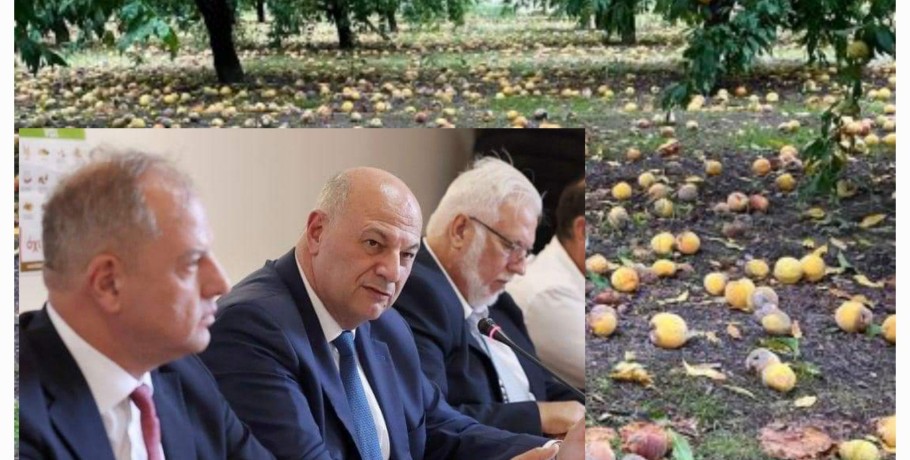 ΥπΑΑΤ: "Ψηλά στην ατζέντα το ροδάκινο"