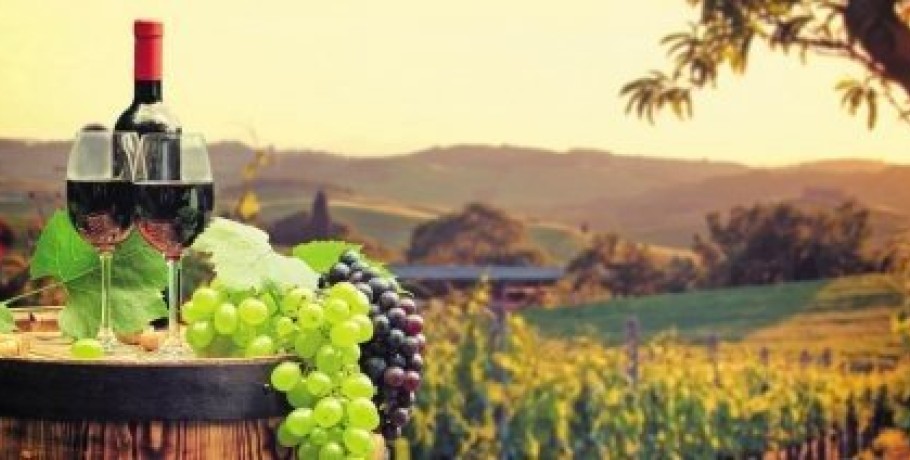 Οι προϋποθέσεις πιστοποίησης των ανεξάρτητων μικρών οινοπαραγωγών