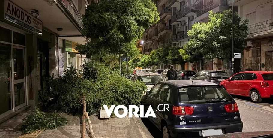 Θεσσαλονίκη: 200 κλήσεις στην Πυροσβεστική λόγω των ανέμων - 44 κοπές δέντρων