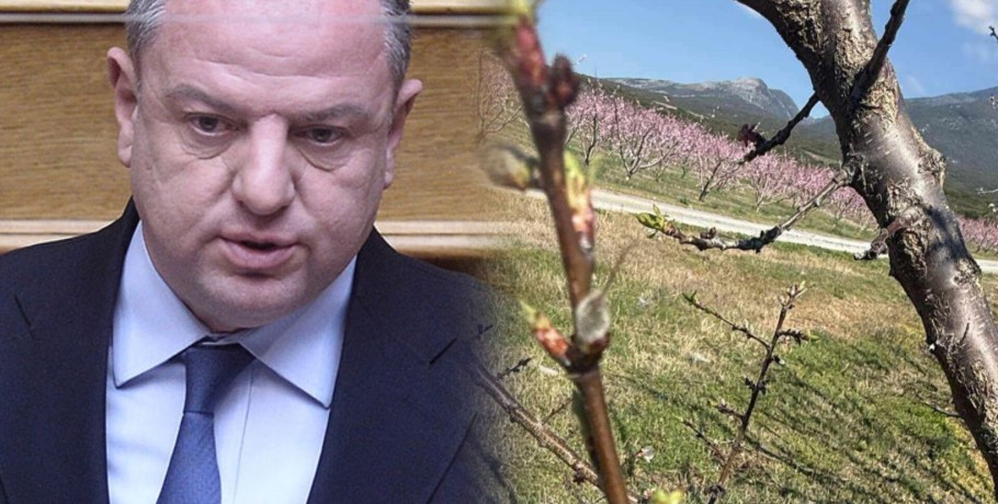 Διονύσης Σταμενίτης: Σε συνεχή επικοινωνία με αγρότες και φορείς για τον παγετό σε Πέλλα και Ημαθία