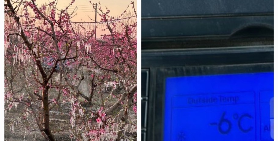 Δεύτερη συνεχόμενη νύχτα παγετού σε Πέλλα και Ημαθία – Μεγάλες καταστροφές στις καλλιέργειες