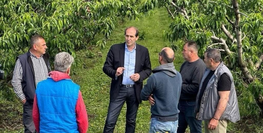 Άμεσες ενέργειες για τις ζημιές από τον παγετό στην Ημαθία