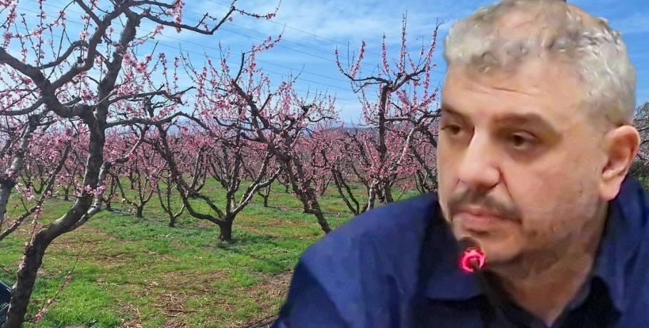 Νίκος Παρούτογλου: Άμεση Αντίδραση για τις Ζημιές στις Καλλιέργειες από τον Παγετό