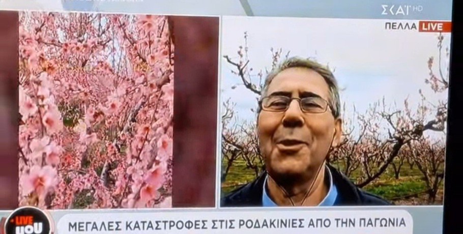 Ο Ιορδάνης Τζαμτζής για τις ζημιές από τον παγετό στην εκπομπή "Life You"