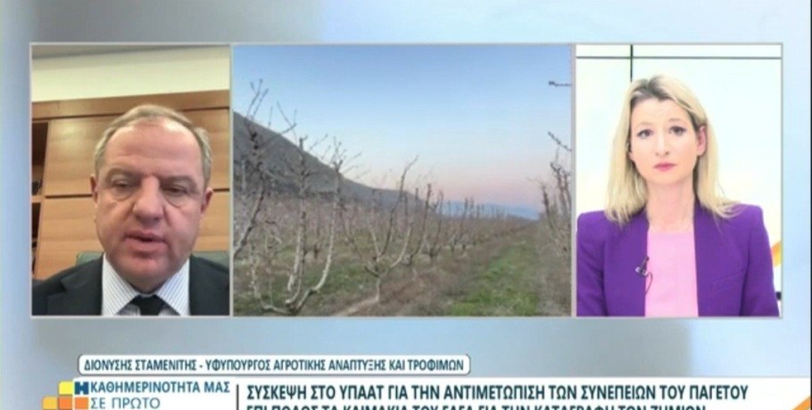 Διονύσης Σταμενίτης: Καταγράφουμε τις ζημιές και προχωράμε στις αποζημιώσεις