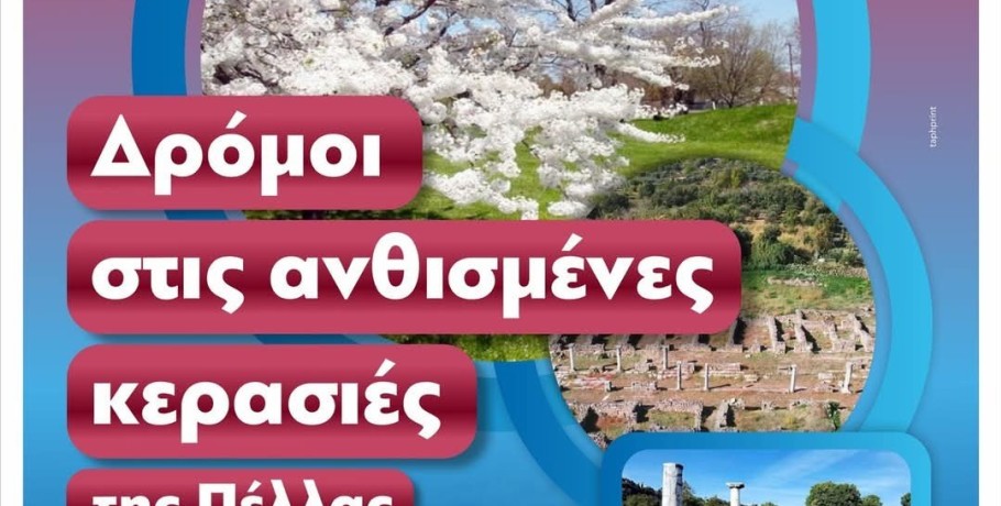 Αλλαγή τοποθεσίας για την εκδήλωση «Δρόμοι στις ανθισμένες κερασιές της Πέλλας»