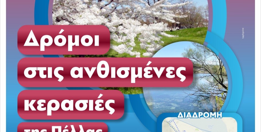 «Όταν ανθίζουν οι κερασιές της Πέλλας»