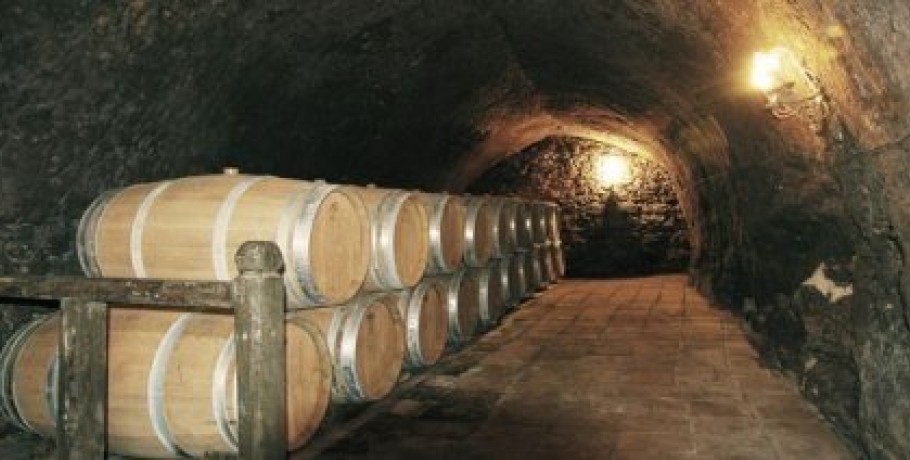 Καθηλωμένη η οινοπαραγωγή στα επίπεδα της προηγούμενης περιόδου, μειωμένη κατά 32,73%