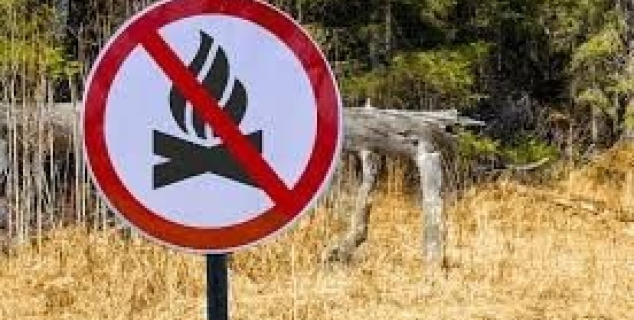 Δήμος Αλμωπίας: Υποχρεωτικός ο καθαρισμός οικοπέδων ενόψει της αντιπυρικής περιόδου 2025