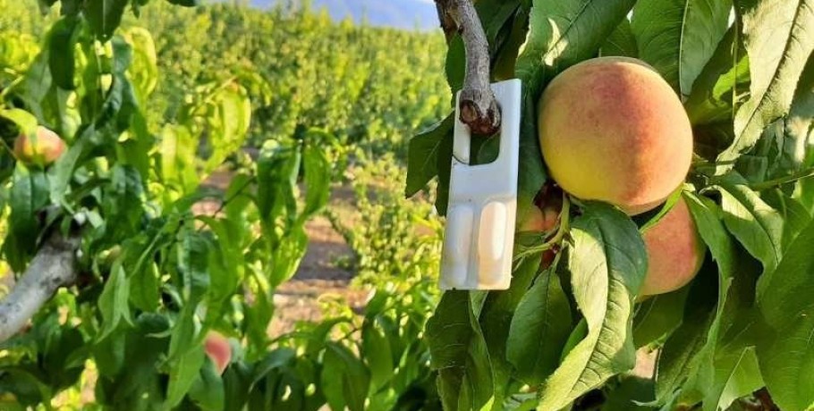 Με προϋπολογισμό 60 εκατ. ευρώ ξεκινά την εφαρμογή του το πρόγραμμα «Κομφούζιο»