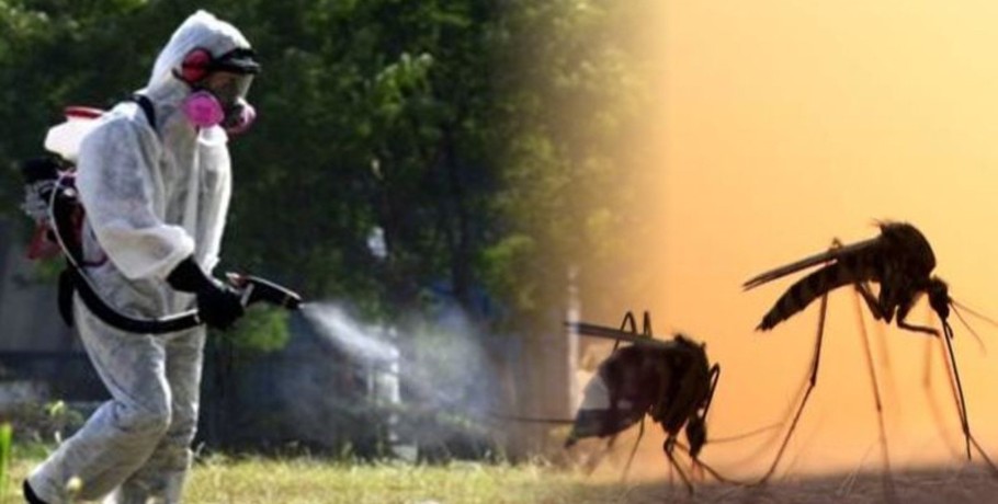 ΠΕ Πέλλας: «Ολοκληρωμένο Πρόγραμμα Διαχείρισης κουνουπιών»