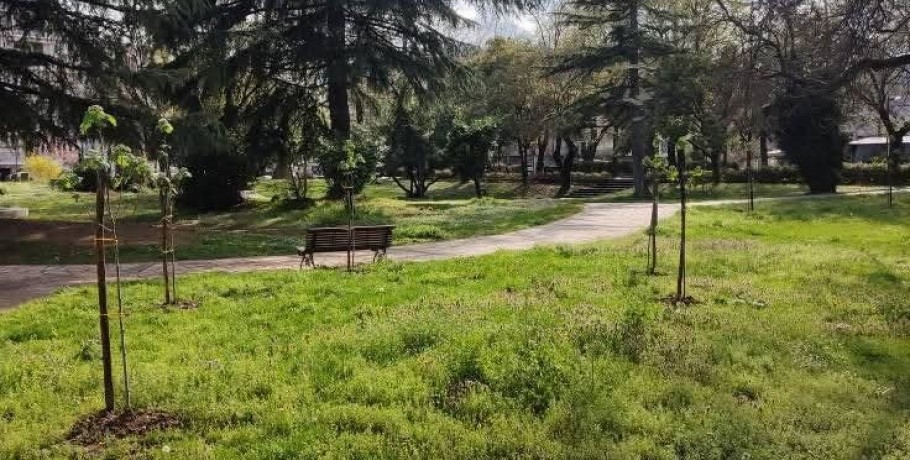 Δενδροφυτεύσεις στην Έδεσσα από τη Δήμητρα Καραμάνη
