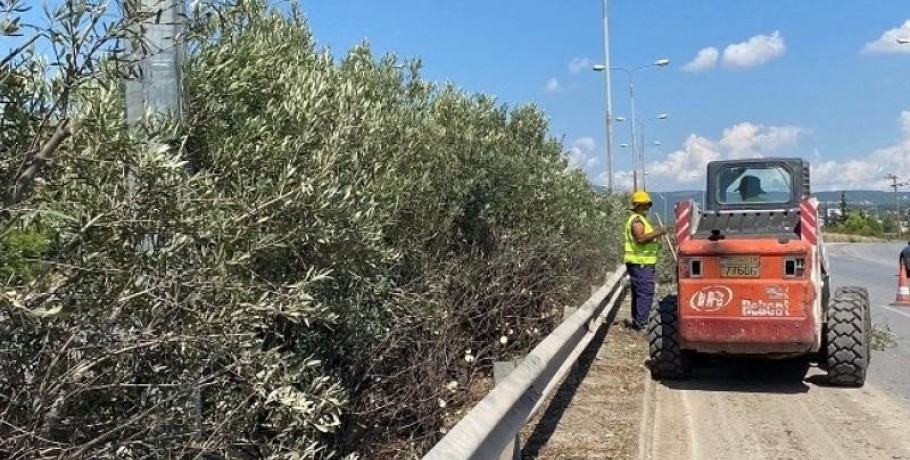 Επιπρόσθετες εργασίες κοπής πρασίνου στην Εθνική Οδό 2 Θεσσαλονίκης – Έδεσσας από την ΠΚΜ