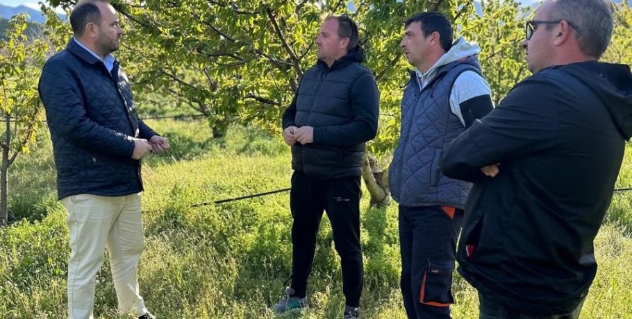 Λάκης Βασιλειάδης: «Καμία ποικιλία κερασιάς εκτός αποζημίωσης»