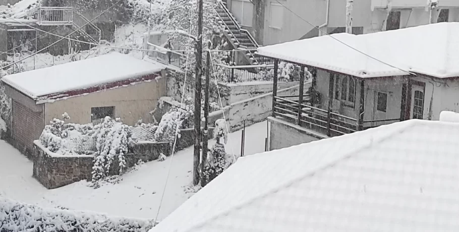 Χαλκιδική: Στα «λευκά» από την επέλαση του χιονιά -Κλειστά σχολεία στον Δήμο Πολυγύρου