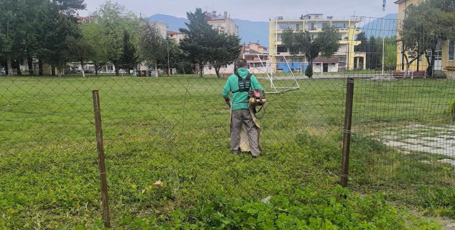 Στοχευμένες Παρεμβάσεις Πρασίνου στον Δήμο Αλμωπίας – Ολοκληρωμένος Σχεδιασμός με το Βλέμμα στο Αύριο