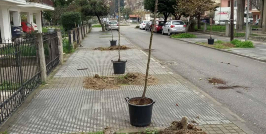 Ο Δήμος Έδεσσας ολοκλήρωσε με επιτυχία τη δράση δενδροφύτευσης