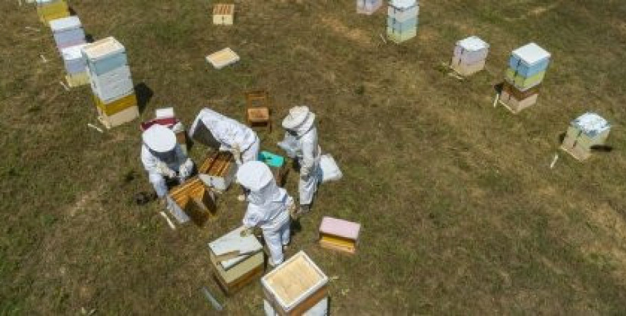 Έως 30 Μαΐου αιτήσεις για τη διευκόλυνση μετακινήσεων κυψελών και στήριξη νομαδικής μελισσοκομίας